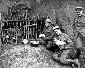 Eggs Prints: British soldiers with chicken house in trench, WW1