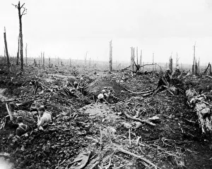 Somme Prints: British soldiers digging a trench, Western Front, WW1