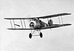 Mark Collection: British Sopwith Snipe Mark 1 biplane, WW1