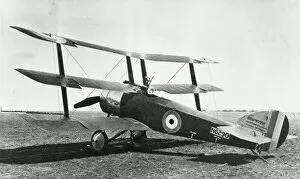 WWI Aircraft Collection: British Sopwith triplane on airfield, WW1