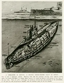 British Sub in Section