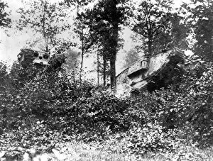 Flanders Collection: British tanks in Oosthoek Wood, Belgium, WW1