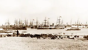 Anglo Collection: British troops disembarking at Ismailia during