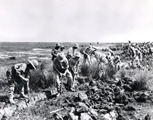 Marsh Prints: British troops draining marshes, Salonika Front, WW1