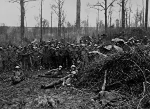 Encamped Prints: British troops encamped in wood, Western Front, WW1