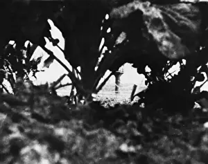 British troops in France 1914