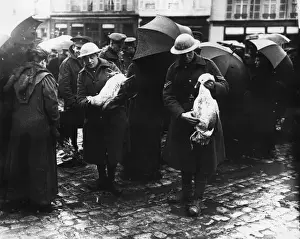 Bailleul Prints: British troops in street market at Bailleul, France, WW1