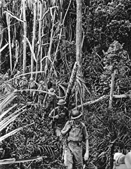 Malaya Prints: British troops train in Malaya