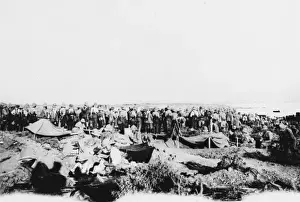 Gallipoli Prints: British troops WWI