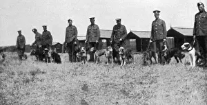 Messenger Prints: British War Dog School, Shoeburyness, 1917