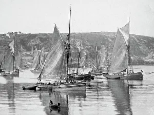 Brixham Prints: Brixham
