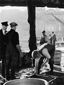 Brixham Fish Market