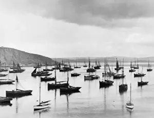 Brixham Trawlers