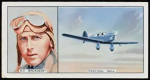 Broadbent / Percival Gull