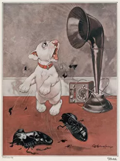 Shoes Collection: His Broadcast Masters Voice by George Studdy