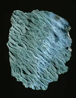 Sulphate Prints: Brochantite