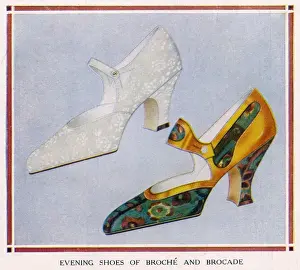 Broche and Brocade