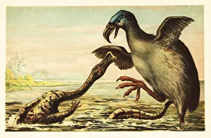 Miocene Prints: Brontornis battling a Hadrosaurus
