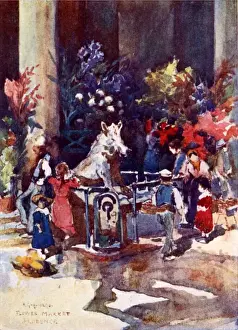 Springtime Prints: Bronze Boar Statue of the Mercato Nuevo, Florence, Italy