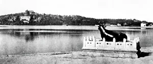 Bronze Bull, Summer Palace, Beijing, China, early 1900s