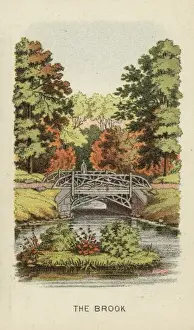 The brook
