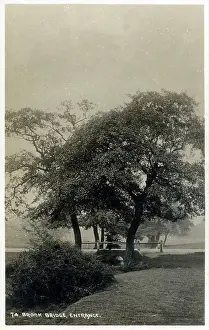 Unidentified Prints: Brook Bridge, Entrance - Unidentified Park in Birmimgham