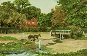 Ponies Prints: Brookley Watersplash, Brockenhurst, New Forest, Hampshire