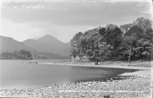 Wilderness Prints: Broomhill Point, Derwentwater