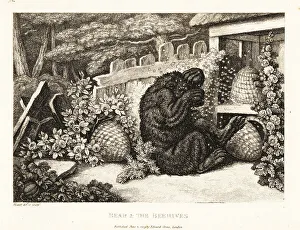 Gay And Phaedrus Prints: A brown bear attacked by an army of bees