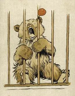 Al Din Prints: Brown Bear Cub Aldin