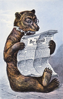 Images Dated 2nd November 2015: Brown bear reading newspaper on a German postcard
