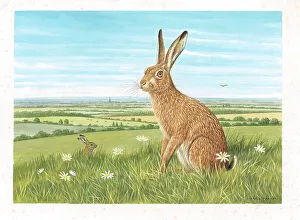 Hares Prints: Brown Hares