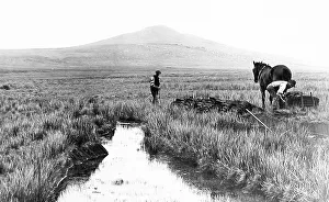 Willy Prints: Brown Willy from Roughtor Victorian period