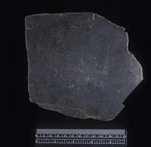 Dense Prints: Brownfield (1973) H3. 7 ordinary chondrite
