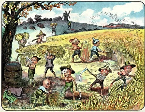 Sheaf Collection: Brownies harvesting the cornfields