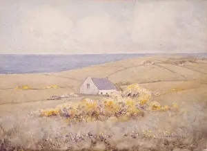 Browns Bay, Islandmagee