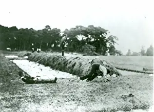 Brownsea Island Experimental Scout Camp