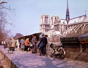 Browsing among the bouquinistes - Paris quais and Notre Dame