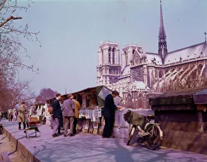 Images Dated 17th April 2019: Browsing among the bouquinistes - Paris quais and Notre Dame