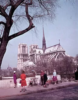 Images Dated 17th April 2019: Browsing among the bouquinistes - Paris quais and Notre Dame