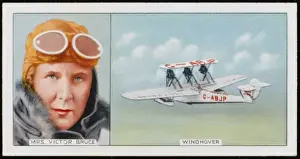 Bruce / Windhover