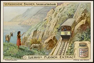 Funicular Prints: Brumate Funicular