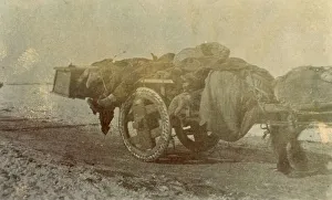 Plague Prints: Bubonic plague in China