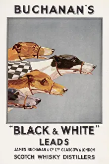 Drink Gallery: Buchanans Whisky Advert