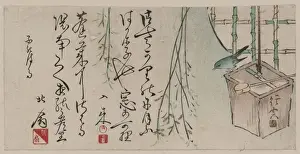 Warbler Prints: Well bucket and bush warbler