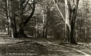 Hartfield Prints: Buckhurst Park, Withyham, Sussex