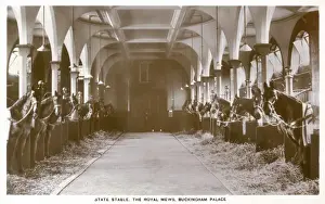Mews Prints: Buckingham Palace Stable
