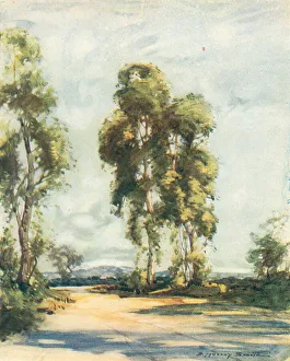 Roadway Prints: A Buckinghamshire Roadway