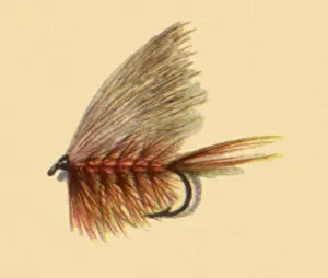 Bucktail Caddis Fly Date: 1950
