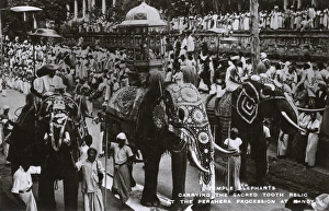 Buddhism - Temple Elephants carrying the sacred tooth, Kandy Buddhism - Temple Elephants carrying the sacred tooth, Kandy